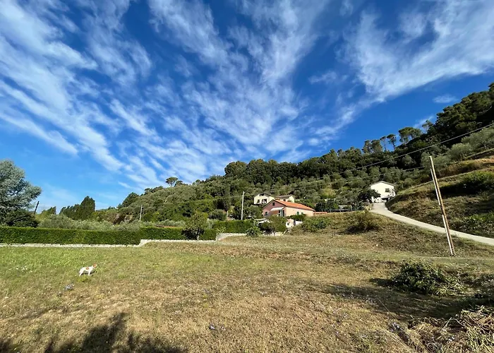 Eucalipto Sestri Levante