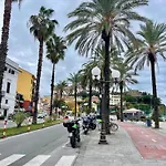 Eucalipto 4*