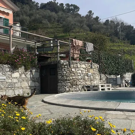 Eucalipto 4*