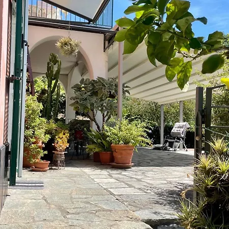 Eucalipto Sestri Levante