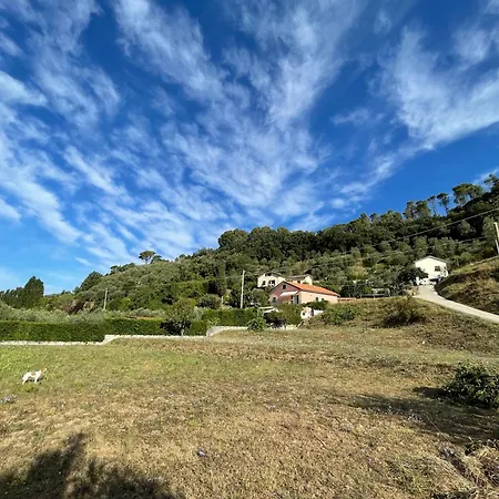 Eucalipto Sestri Levante